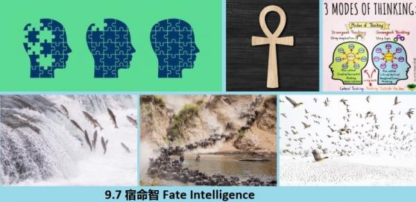 9.7 360 ������ Fate Intelligence.jpg