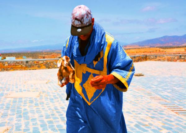 2024-06-07_24_Kasbah of Agadir Oufla_Man in Traditional Blue Berber Garb Holding Baby Nubian Doeling0001.JPG