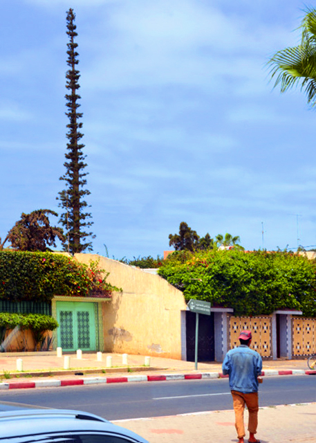 2024-06-07_41_Cellphone Tower0001.JPG