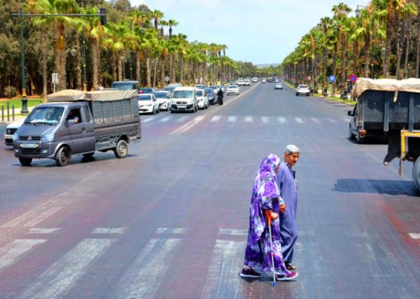 2024-06-07_45_Founty or Bay of Palm Trees0001.JPG