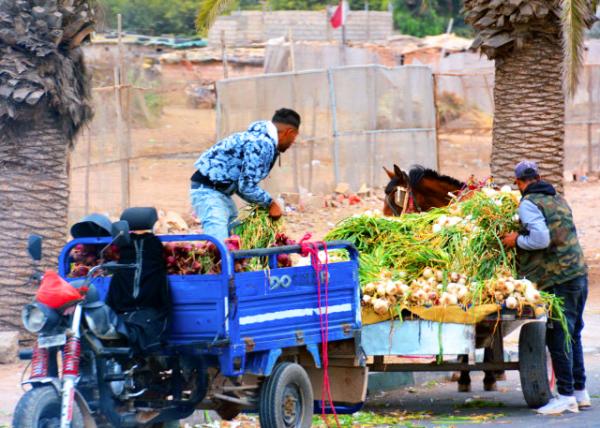 2024-06-07_49_Vendor_Garlic Merchant0001.JPG