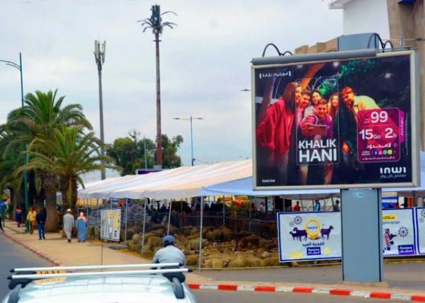 2024-06-07_50_Vendor_Wholesale Market for Vegetables & Fruits0001.JPG
