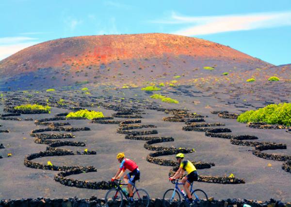 2024-06-08_21_La Geria_ Vineyards Emerged from the Ashes0001.JPG