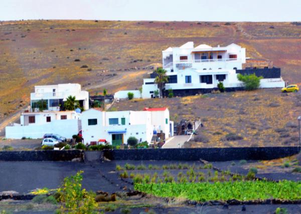 2024-06-08_22_Crops Produced on Terraces on the Steep Sides of the Volcanoes0001.JPG