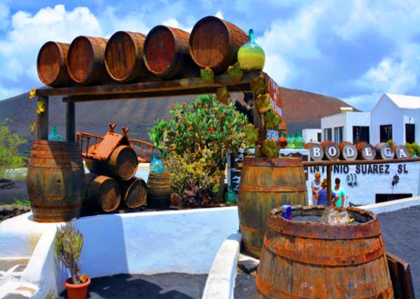 2024-06-08_24_La Geria Valley_Antonio Suarez Winery_710001.JPG