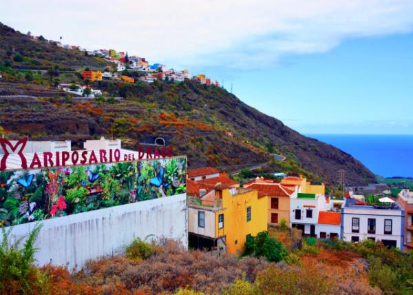 2024-06-09_59_Drago Park in Tenerife0001.JPG