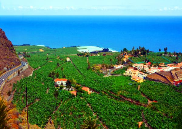 2024-06-09_60_Hacienda &  Banana Plantation0001.JPG