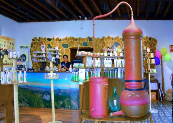 2024-06-09_30_Casa Del Perfume Canario or Canarian Perfume House0001.JPG