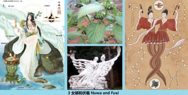 1771121843666498.jpg 3 360 女娲和伏羲 Nuwa and Fuxi.jpg