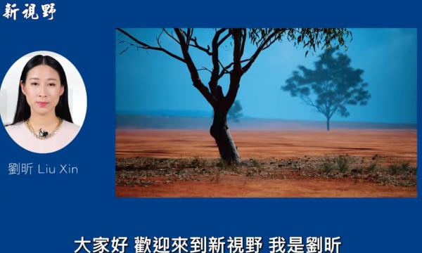 1771146182502619.png IMG_6548.png