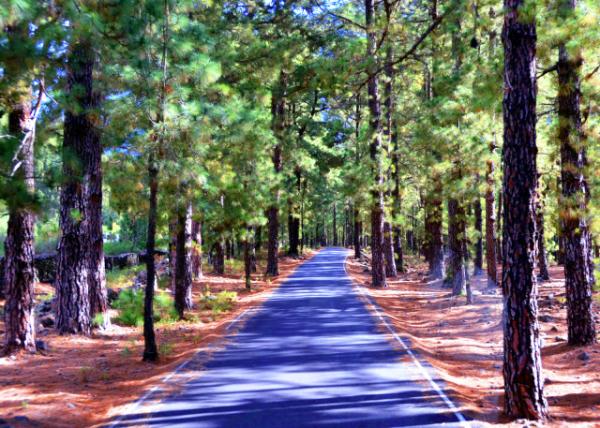 2024-06-10_01_Refugio el Pilar La Palma0001.JPG