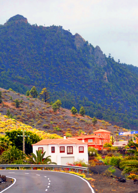 2024-06-10_03_Mt Triana0001.JPG