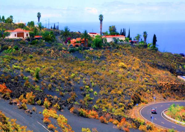 2024-06-10_04_Puerto Naos0001.JPG