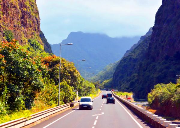 2024-06-11_68_Art of Nature_ a Cinematic Exploration of Madeira Fanal Forest001.JPG