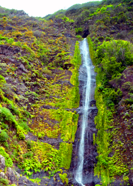 1771183736523343.jpg 2024-06-11_70_Levada Nova Waterfall001.JPG