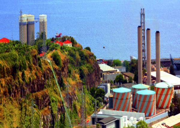 2024-06-11_06_Cements Wood Cement Manufacturing Factory0001.JPG