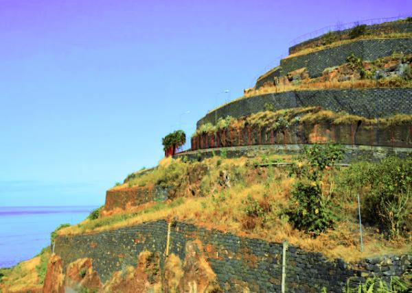 2024-06-11_26_Terrace Fields around Agulo0001.JPG