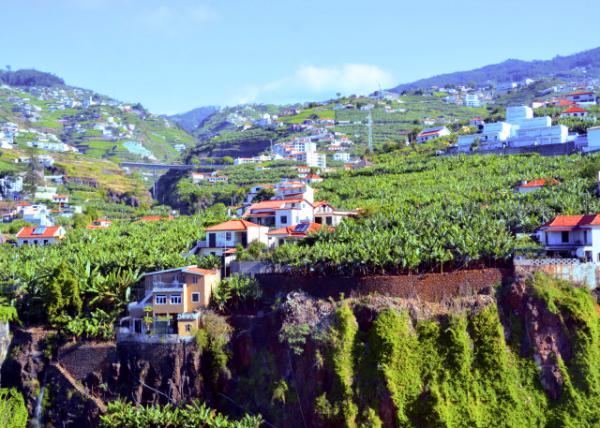 2024-06-11_37_Construction & Agriculture on Terraces-20001.JPG
