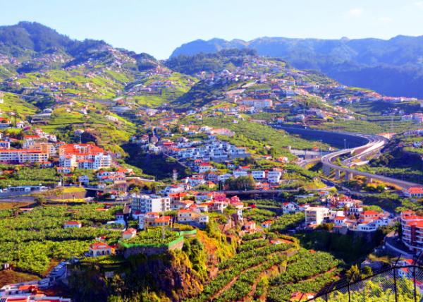 2024-06-11_49_Up in the Hills of Camara De Lobos0001.JPG