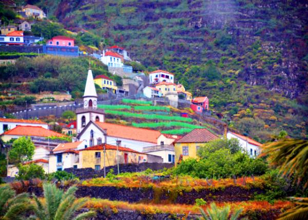 2024-06-11_98_Igreja Matriz do Porto Moniz w Laurissilva Forest0001.JPG