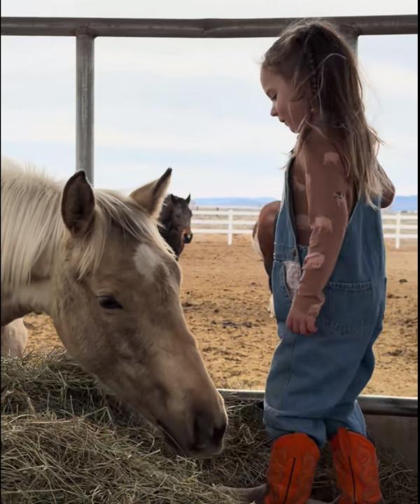 1771337687810744.png IMG_7019.png