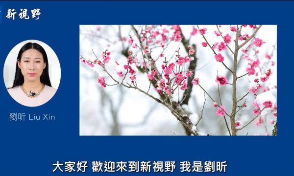 1771366680606387.png IMG_7215.png