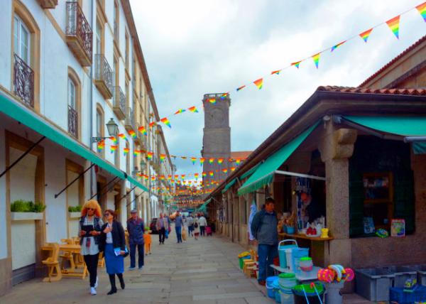 2024-06-15_117_R��a das Ameas0001.JPG