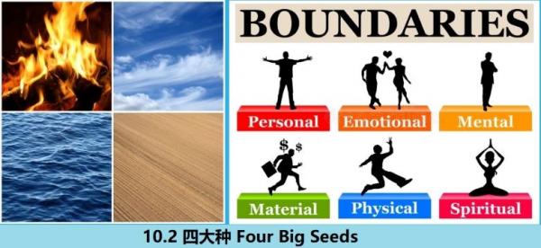 10.2 360 四大种 Four Big Seeds.jpg
