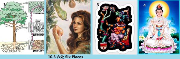 10.3 六处 Six Places.jpg