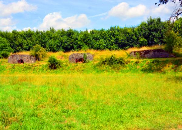 2024-06-17_14_Fort-Medoc Built on a Large Sandy Meadow Open to the River_ on Loose Soil Surrounded by Wetlands Regularly Flooded During High Tide.JPG