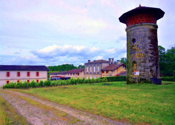 2024-06-17_14_Parc du Château Lanessan0001.JPG