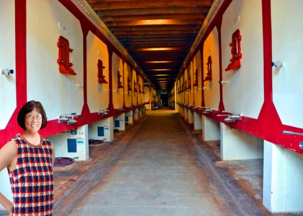 2024-06-17_16_Aging Cellars in Traditional M��doc Style-10001.JPG