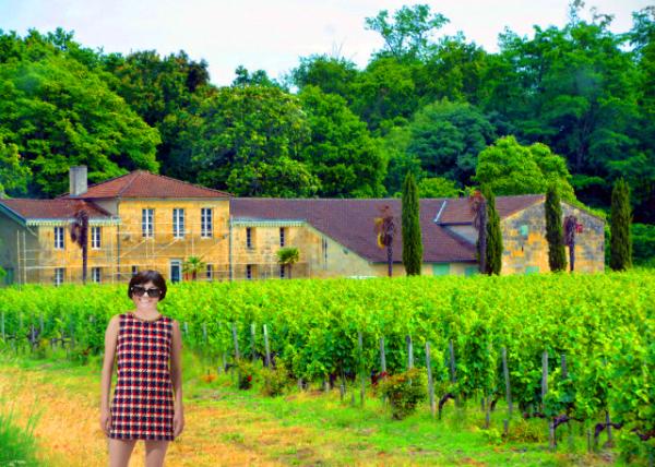 2024-06-17_24_Château Belle-Vue_50% Cabernet Sauvignon+35% Merlot+15% Petit Verdot-10001.JPG