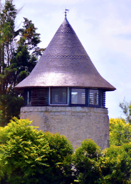 2024-06-17_30_Castle of the Impossible Jungles0001.JPG