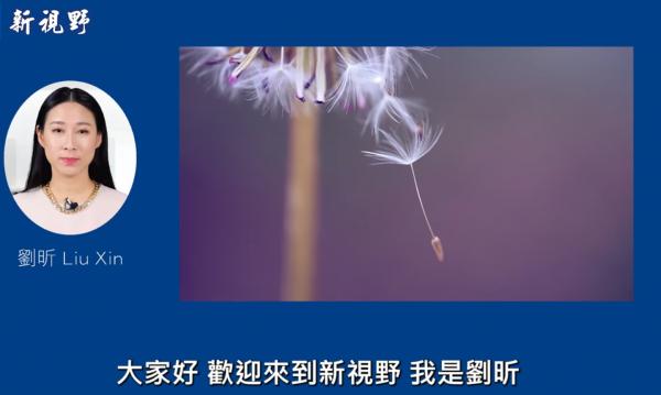 1771599493793446.png IMG_7945.png