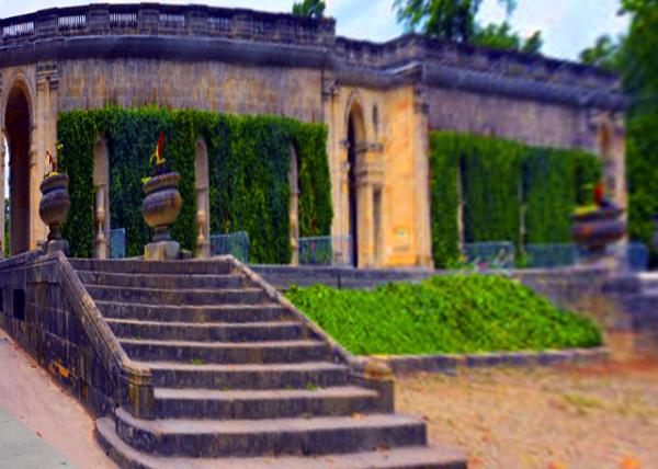 2024-06-18_123_Botanic Garden0001.JPG