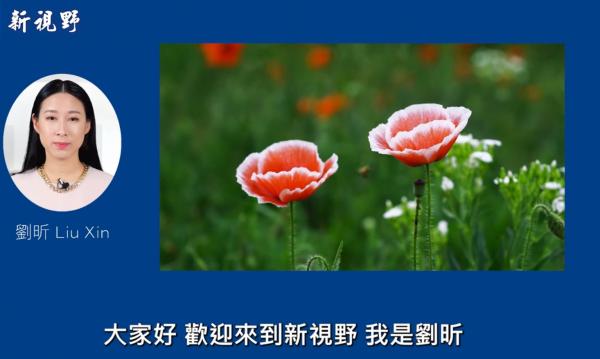 1771819101114988.png IMG_8751.png