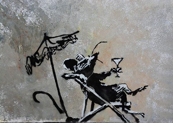 2026-02-21_28)Rat Lounging in a Deck Chair_2021 Suffolk UK0001.jpg