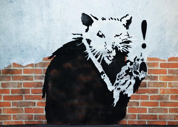 1771959099967831.jpg 2026-02-21_30_Camera Rat_2005 London UK0001.jpg