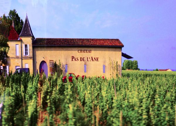 2024-06-18_09_Château Pas de l'Ane - Oenanim0001.JPG