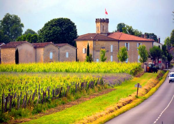 2024-06-18_10_Château Ambe Tour Pourret0001.JPG