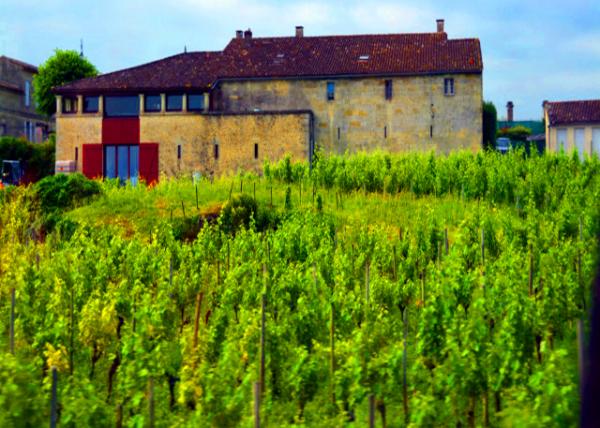 2024-06-18_16_Château Cardinal-Villemaurine0001.JPG
