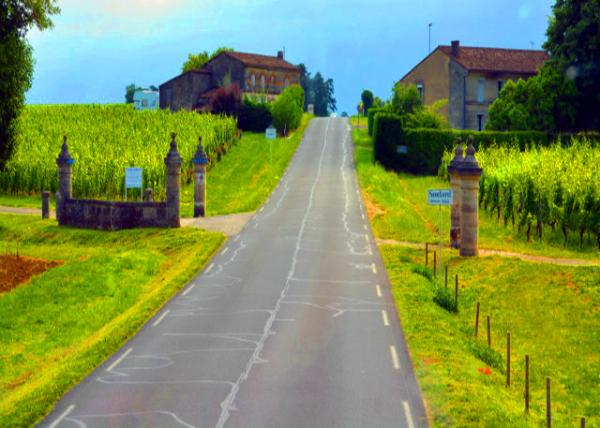 2024-06-18_17_Château Soutard Producing Wines of Elegance_ Richess & Power in Harmonious Combination0001.JPG