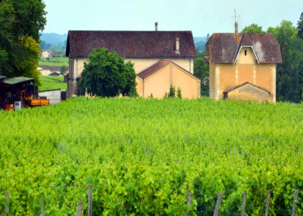 2024-06-18_35_Château Cadet Bon Famous Since the 18th Century  for the Quality of the Wines Produced & the Nobility of His Terroir0001.JPG