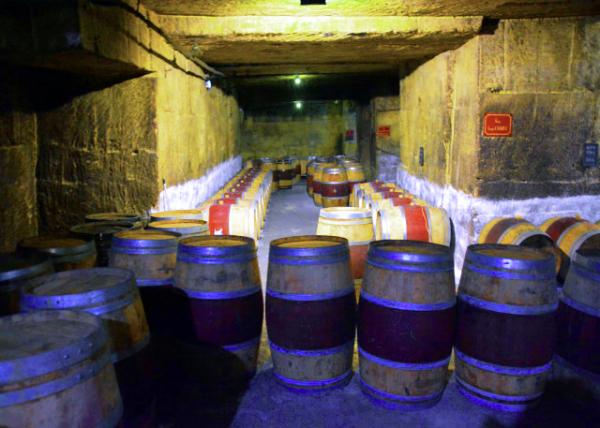 2024-06-18_96_Wines�� Complexity Enlightening a Taste of the Vineyards0001.JPG