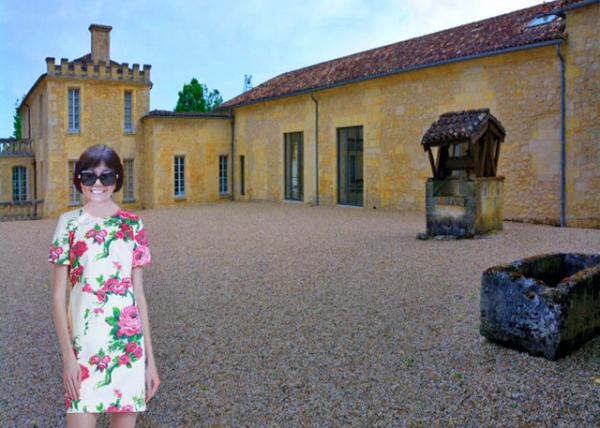 2024-06-18_27_Chateau de Ferrand Vineyards, Terroir, Grapes, Winemaking����԰�����������ѡ����.JPG