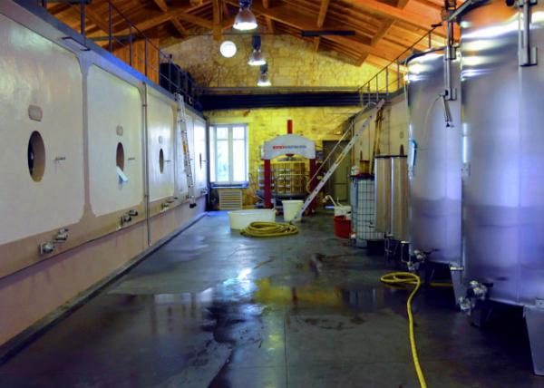 2024-06-18_30_Stainless Steel Wine Vats in a Row inside the Winery��Ƴ���һ���Ų���־�Ͱ0001.JPG