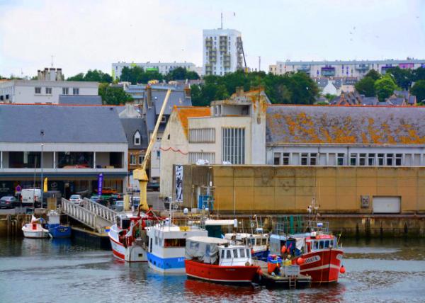 2024-06-19_60_Fish Market0001.JPG