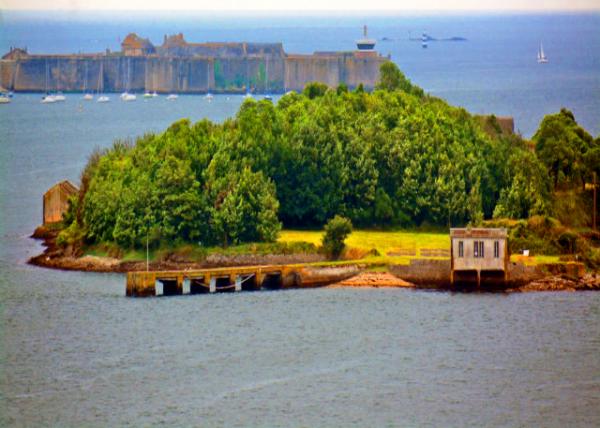 2024-06-19_85_Pen Man�� Marshes_ a Nature Reserve-10001.JPG