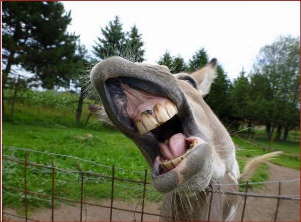 1772256614984521.jpeg IMG_0696.jpeg